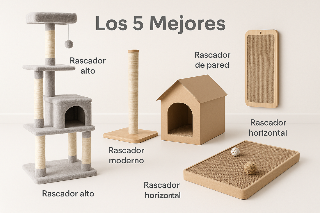 Los 5 mejores rascadores y torres para gatos