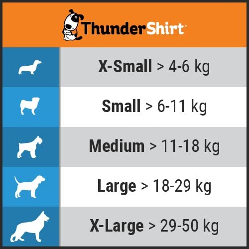 Chaleco Relajante para Perros (Antiestrés, Ayuda a Reducir la ansiedad), Gris, XL - Creapet Studio