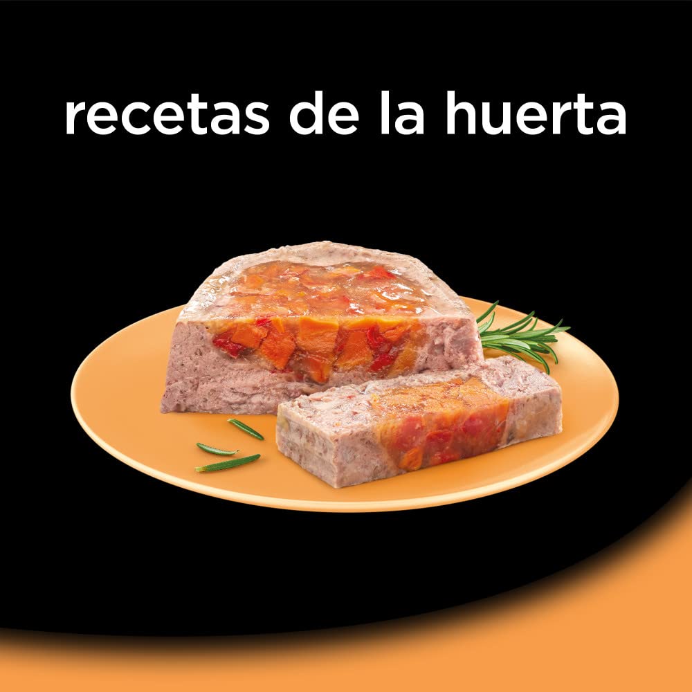 Comida Húmeda para Perros, Recetas de la Huerta en Paté y Gelatina, Multipack (Pack de 6 x 4 Tarrinas x 150g) - Creapet Studio