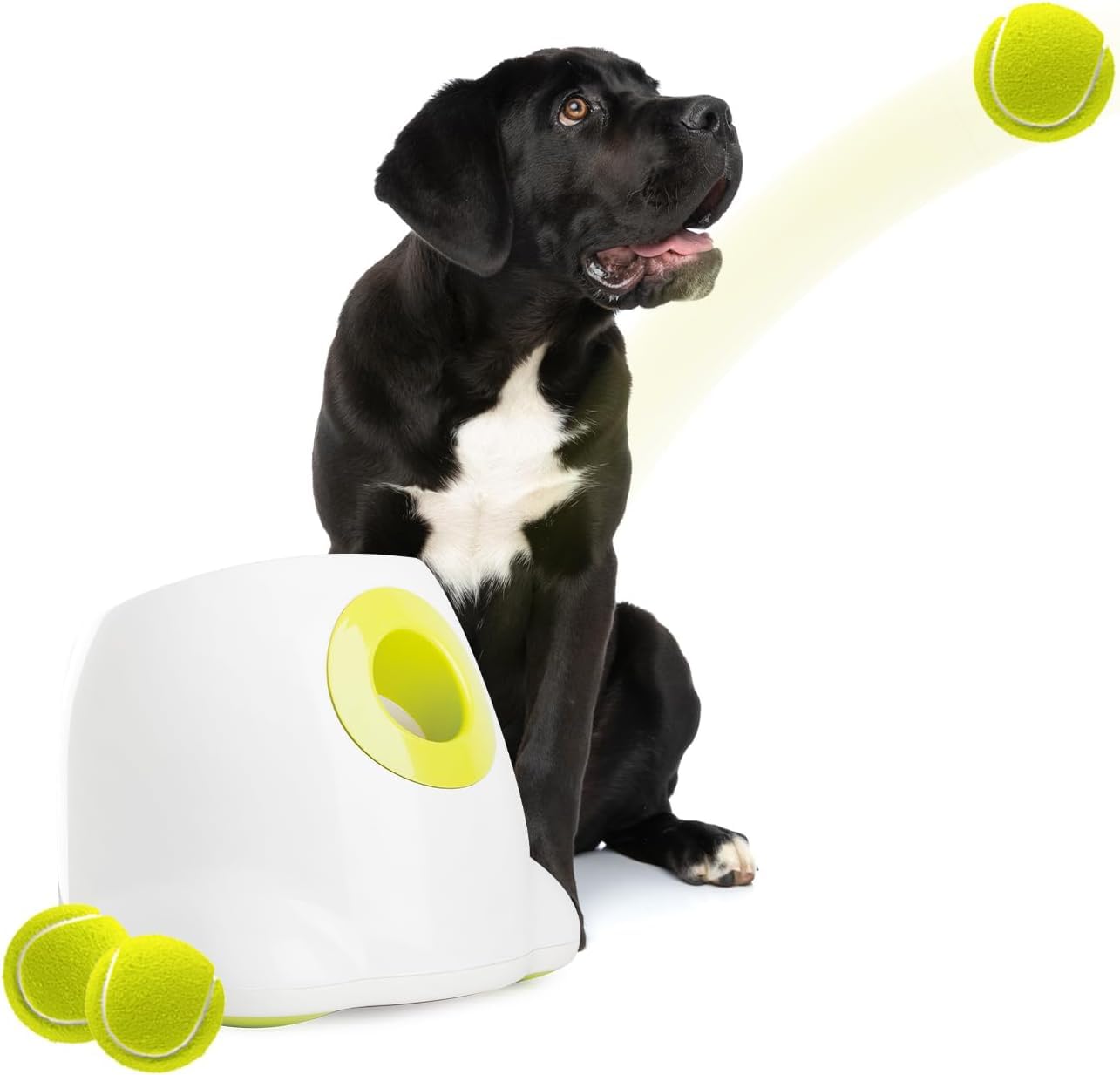 Lanzador Automático de Bolas Interactivo para Perros, máquina de Lanzamiento de Pelotas de Tenis para Perros Grandes, Incluye 3 Bolas (Hyper Fetch Maxi) - Creapet Studio