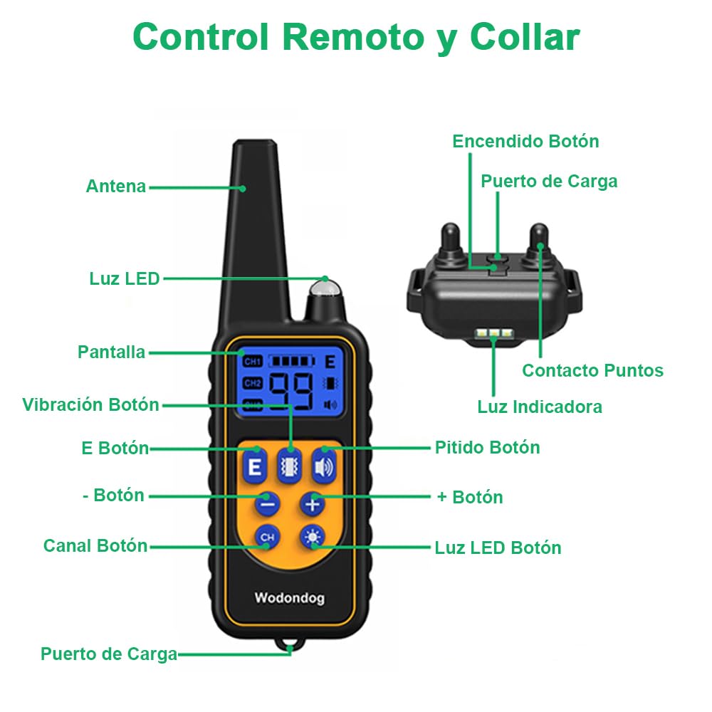 Collar de Adiestramiento para Perros, Collar Electrico Perro Recargable y Impermeable con un Alcance de 1000 Metros, para Perros Pequeños, Medianos y Grandes - Creapet Studio