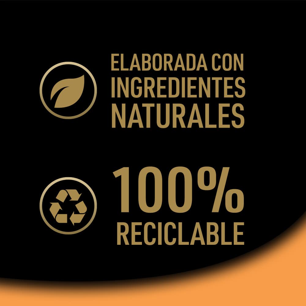 Comida Húmeda para Perros, Recetas de la Huerta en Paté y Gelatina, Multipack (Pack de 6 x 4 Tarrinas x 150g) - Creapet Studio