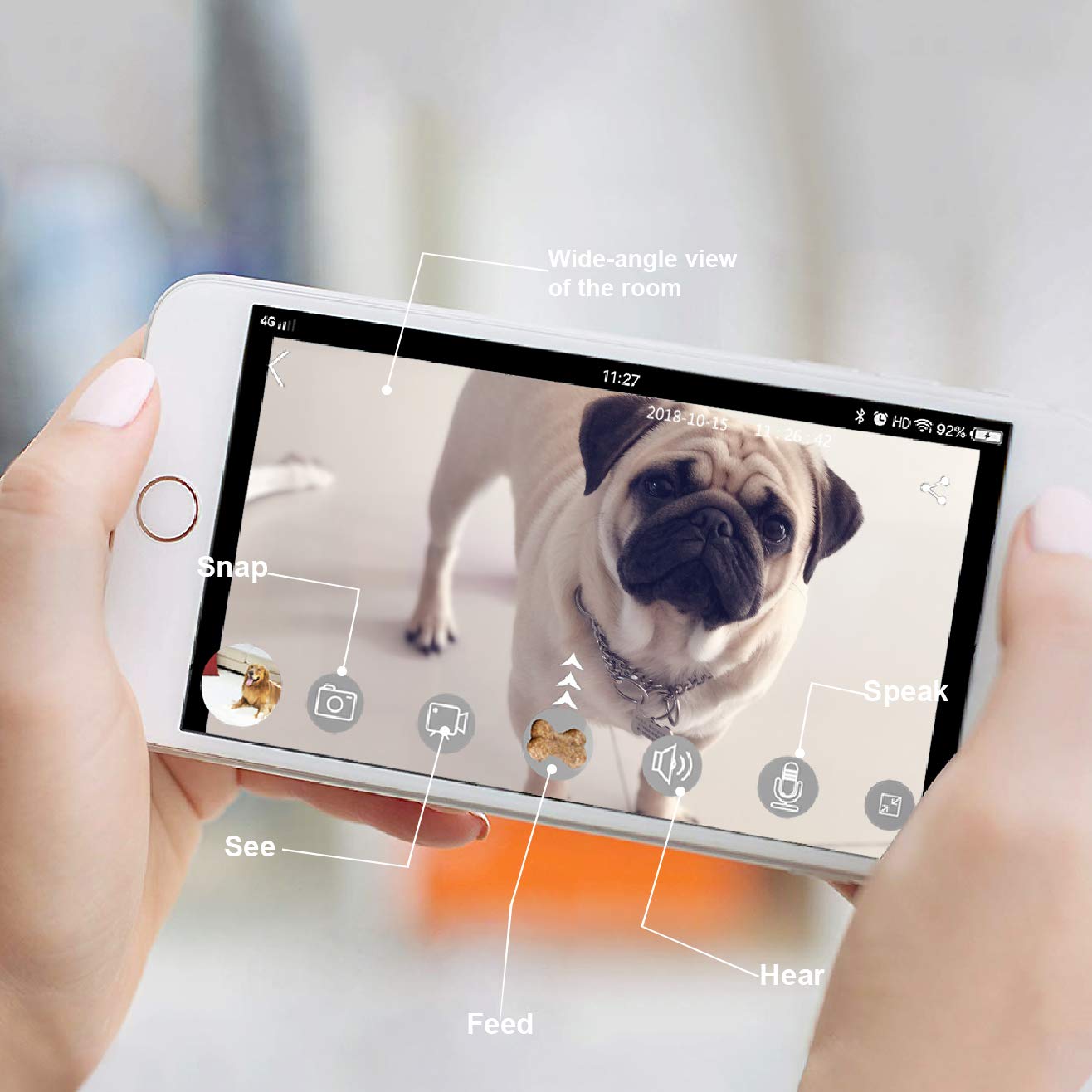 TOP cámara Dispensador de premios para Perros 2025, compatible con Alexa más vendido - Creapet Studio