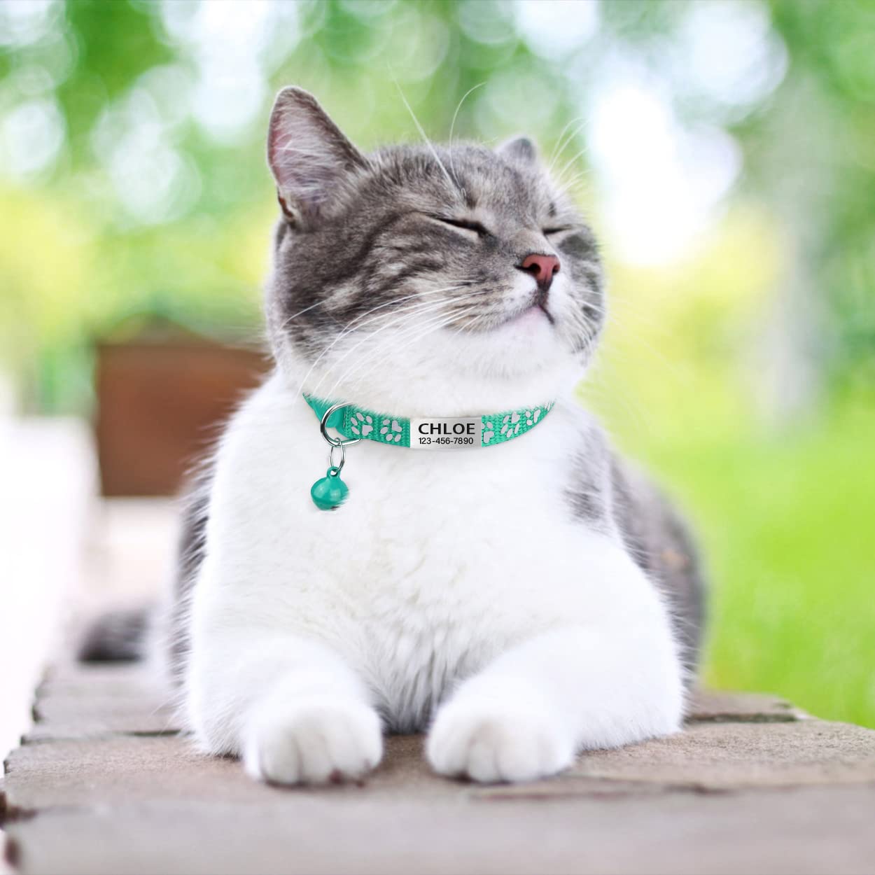 TagME Collar de Gato Personalizado, Reflectante Collares para Gatos con Cascabeles y Hebilla Seguro de Liberación Rápida, 2 Piezas Turquesa - Creapet Studio