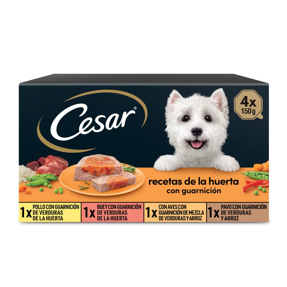 Comida Húmeda para Perros, Recetas de la Huerta en Paté y Gelatina, Multipack (Pack de 6 x 4 Tarrinas x 150g) - Creapet Studio