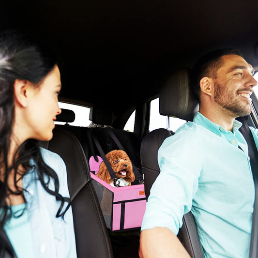 SWIHELP Protector de Asiento de Coche para Mascota, Asiento del Coche de Seguridad para Perros Gatos Lavable Viaje Bolsas y Otra Mascota Peque a con Cremallera Bolsillo - Creapet Studio