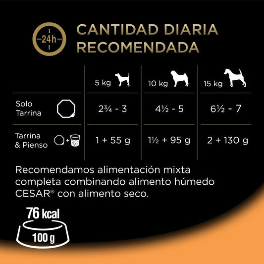 Comida Húmeda para Perros, Recetas de la Huerta en Paté y Gelatina, Multipack (Pack de 6 x 4 Tarrinas x 150g) - Creapet Studio