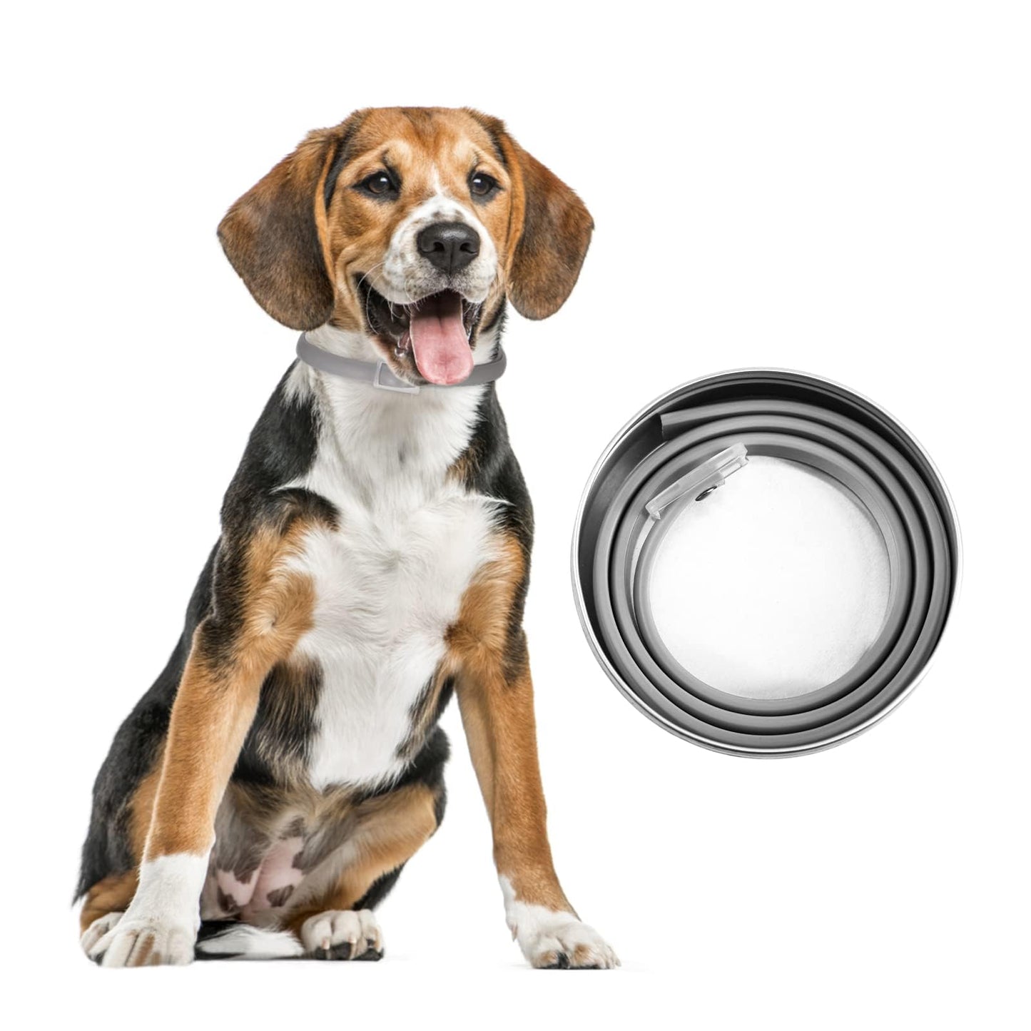 Collar contra Pulgas y Garrapatas para Perros y Gatos Control Antipulgas 8 Meses de Protección Collar Antipulgas para Perros de 63,5 cm - Creapet Studio