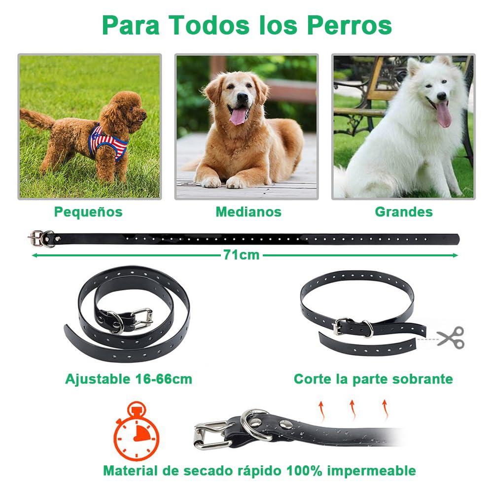 Collar de Adiestramiento para Perros, Collar Electrico Perro Recargable y Impermeable con un Alcance de 1000 Metros, para Perros Pequeños, Medianos y Grandes - Creapet Studio
