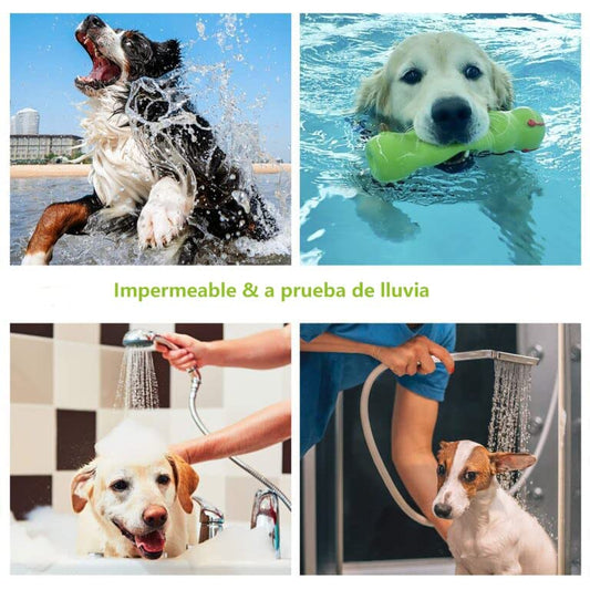 Collar contra Pulgas y Garrapatas para Perros y Gatos Control Antipulgas 8 Meses de Protección Collar Antipulgas para Perros de 63,5 cm - Creapet Studio