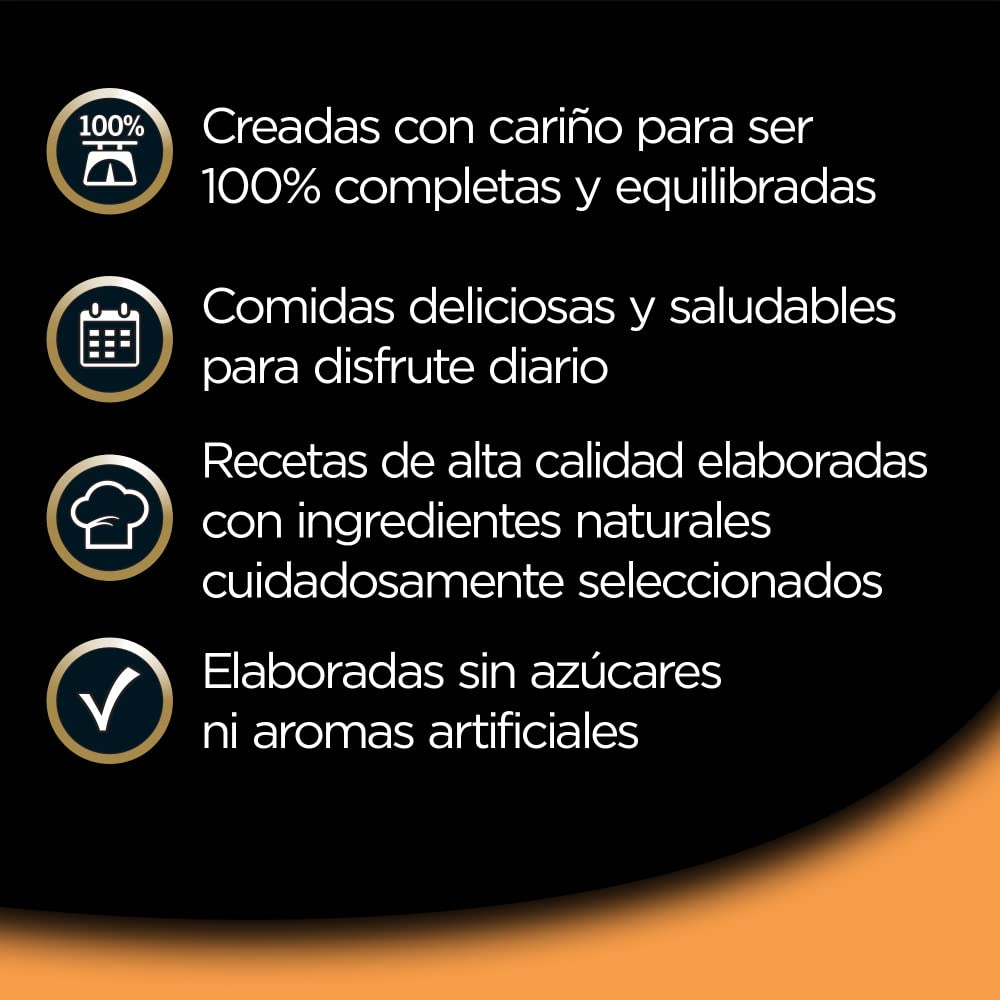 Comida Húmeda para Perros, Recetas de la Huerta en Paté y Gelatina, Multipack (Pack de 6 x 4 Tarrinas x 150g) - Creapet Studio