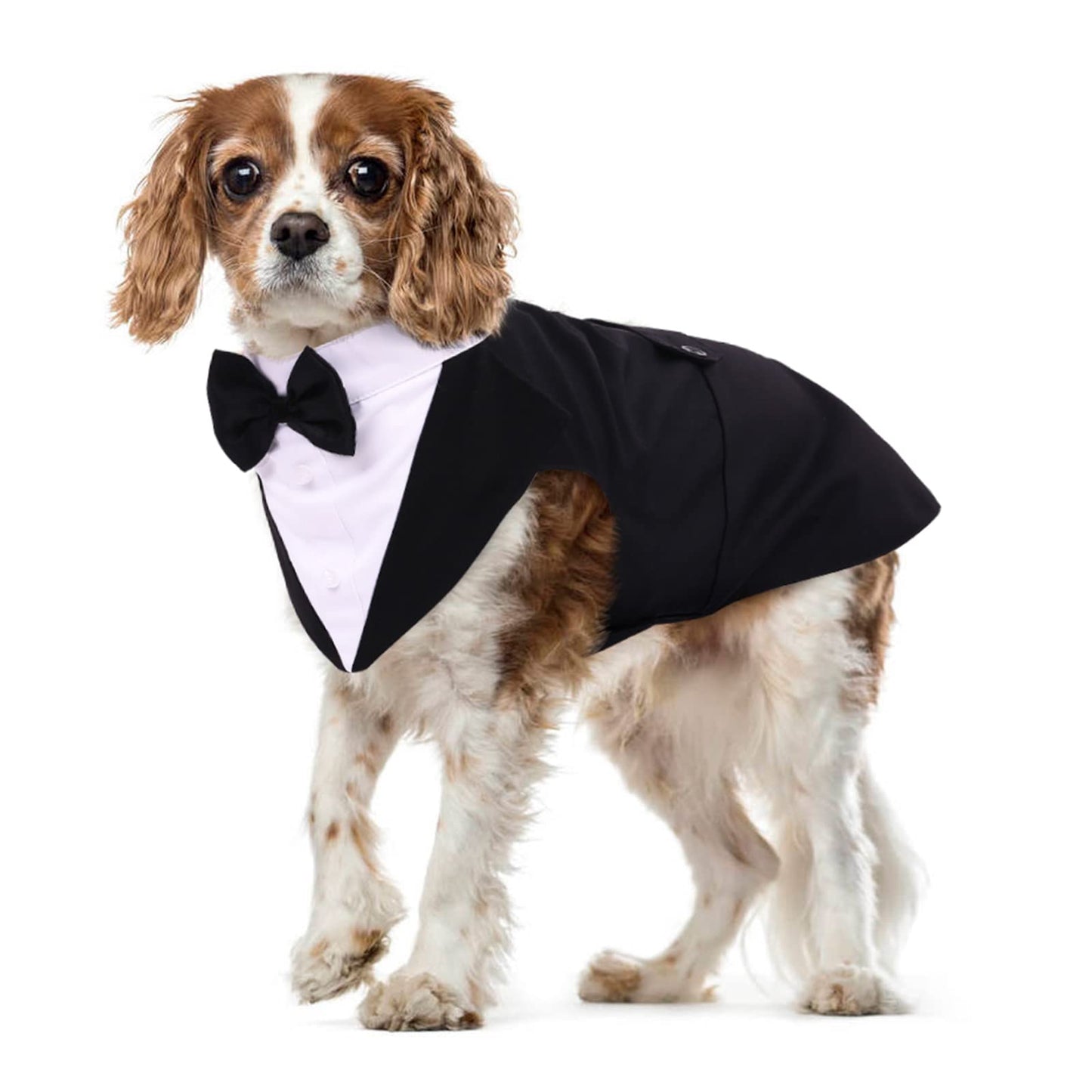 Esmoquin Elegante para Perros