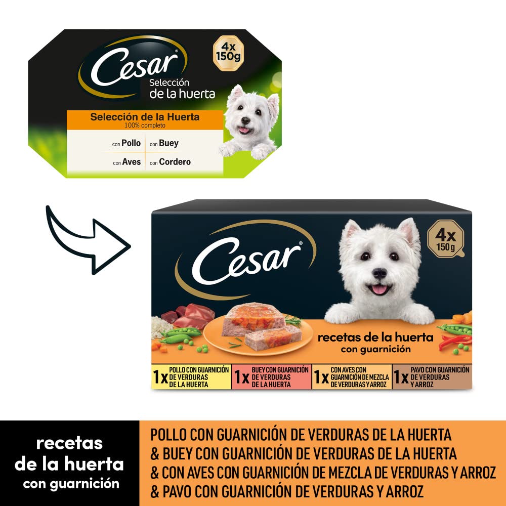 Comida Húmeda para Perros, Recetas de la Huerta en Paté y Gelatina, Multipack (Pack de 6 x 4 Tarrinas x 150g) - Creapet Studio