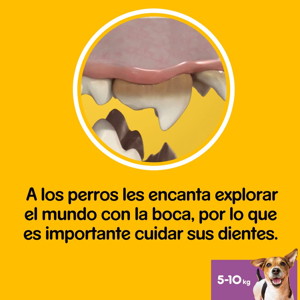 Pedigree Dentastix Snack Dental para la Higiene Oral de Perros Pequeños