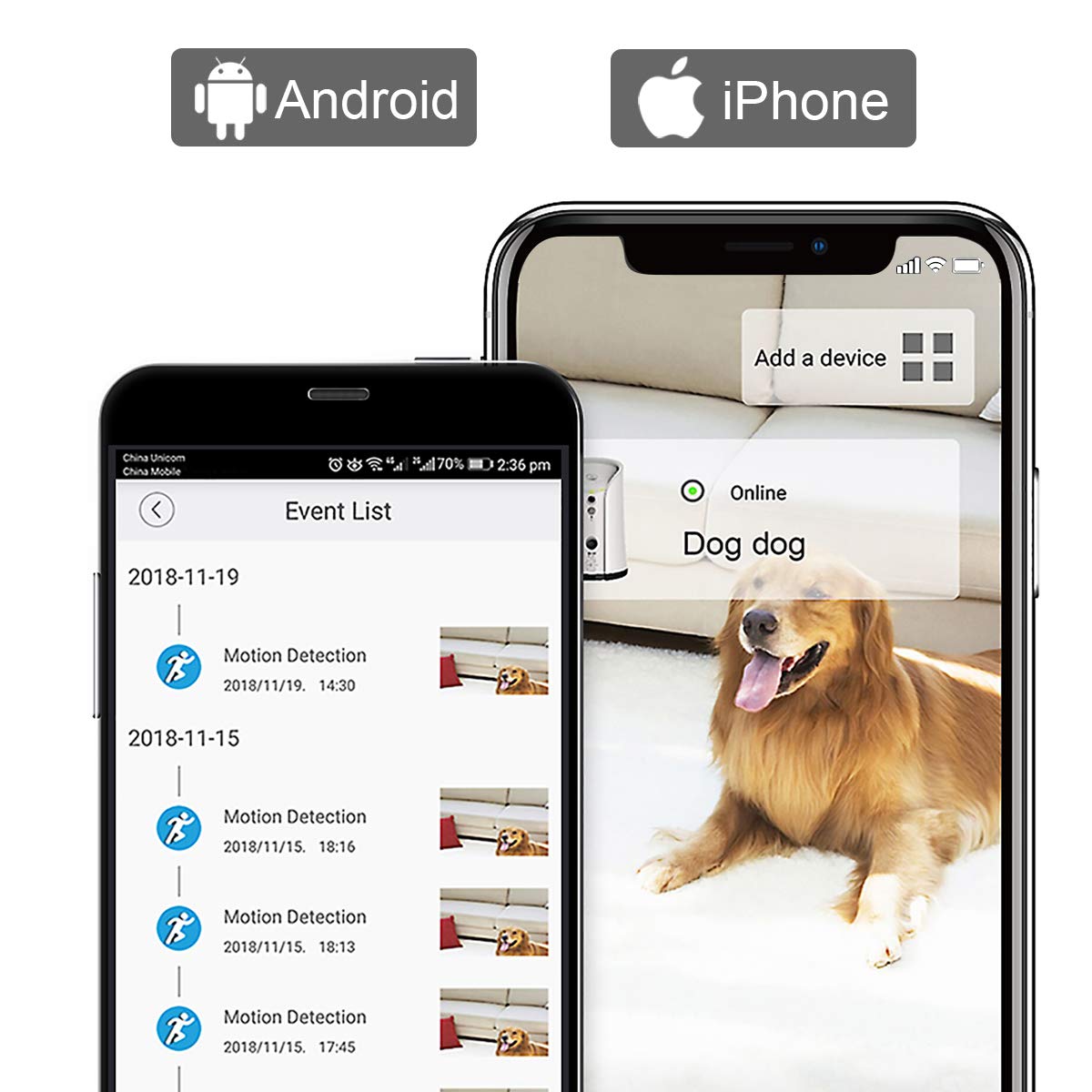 TOP cámara Dispensador de premios para Perros 2025, compatible con Alexa más vendido - Creapet Studio