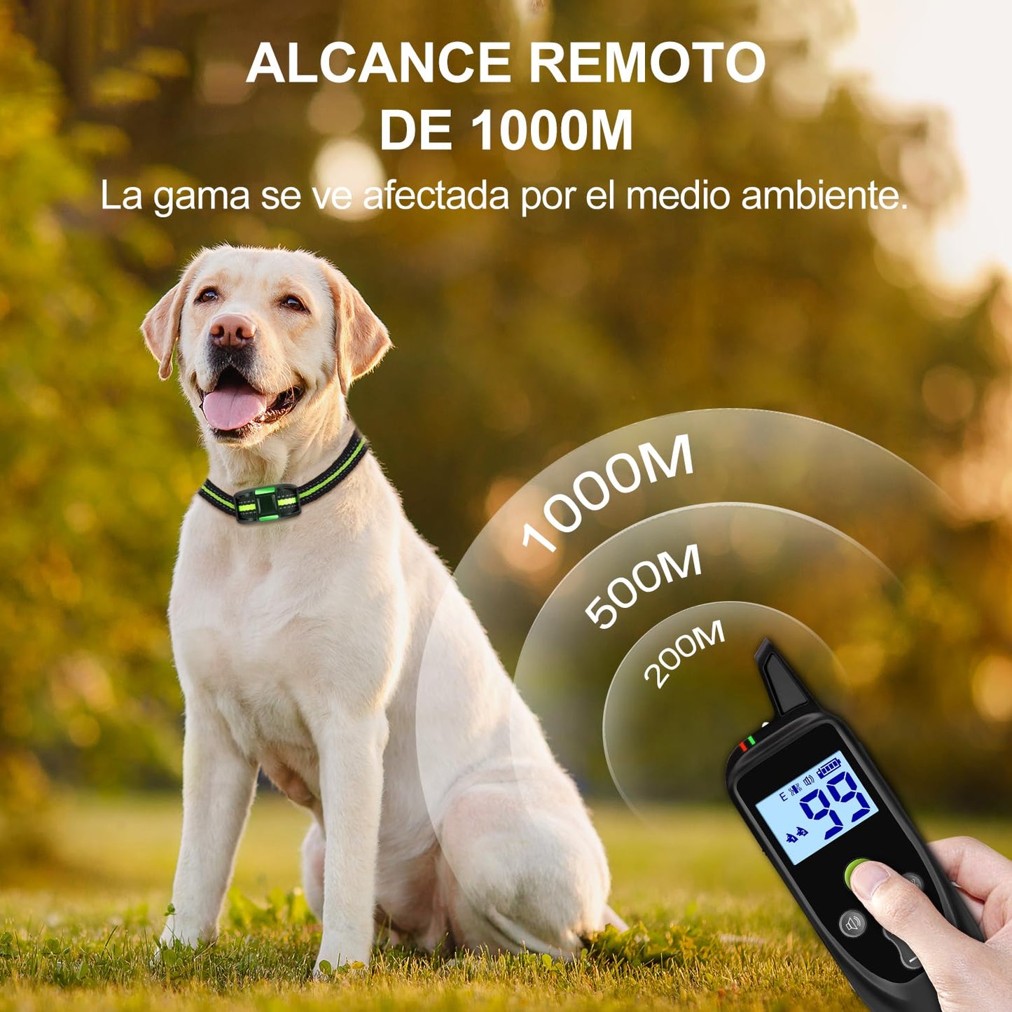 Collar de Adiestramiento para Perros con Control Remoto 1000 m – 3 Modos, Bloqueo de Seguridad, para Perros Pequeños, Medianos y Grandes - Creapet Studio