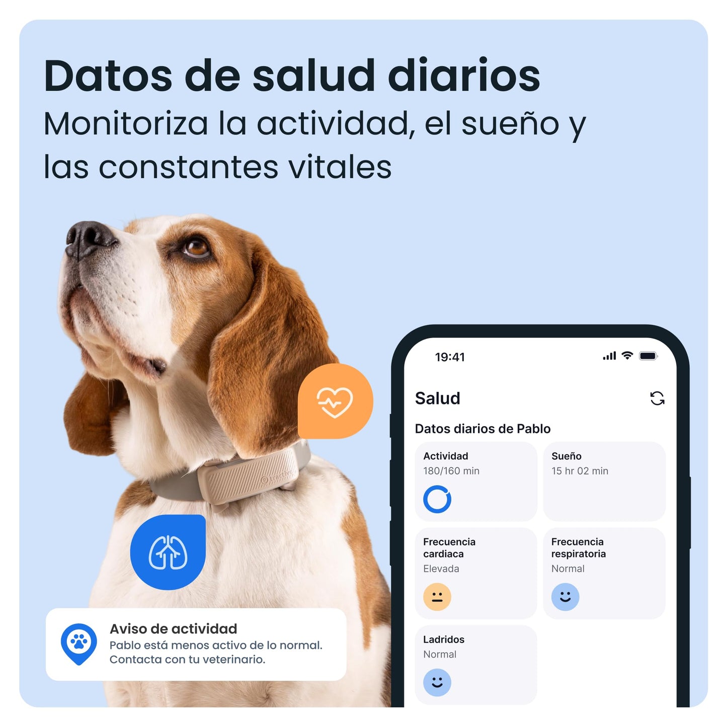 Rastreador con GPS para perros más vendido 2025 - Creapet Studio