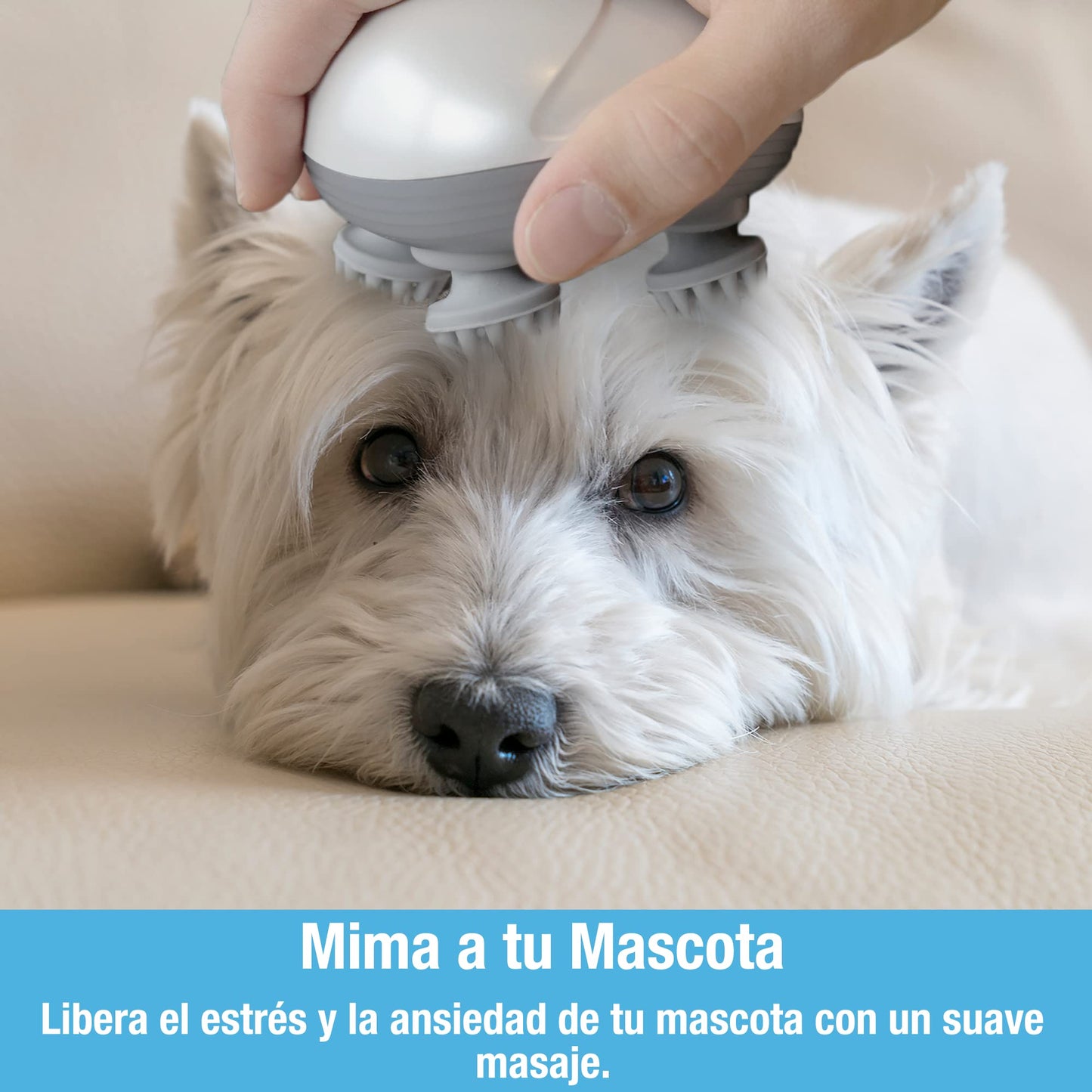 Masajeador eléctrico para gatos - Creapet Studio