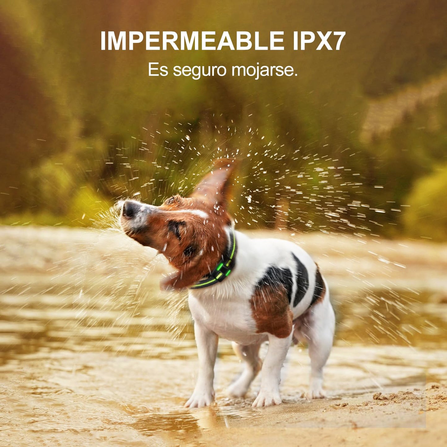 Collar de Adiestramiento para Perros con Control Remoto 1000 m – 3 Modos, Bloqueo de Seguridad, para Perros Pequeños, Medianos y Grandes - Creapet Studio