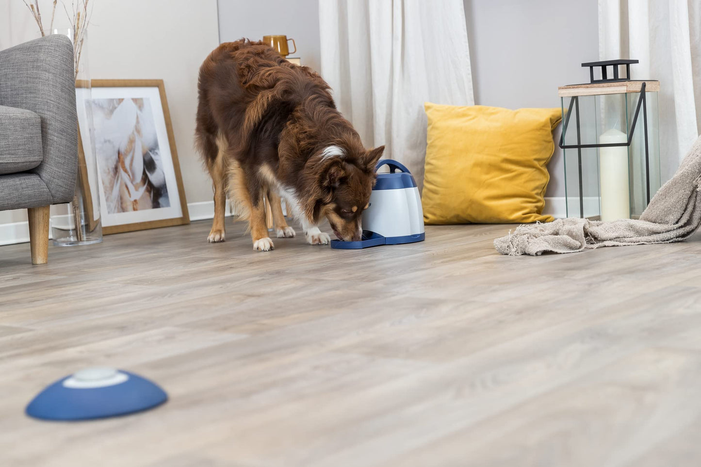 TRIXIE Dog Activity Memory Trainer, 20 × 24 cm, Nivel 3, Perro - Creapet Studio