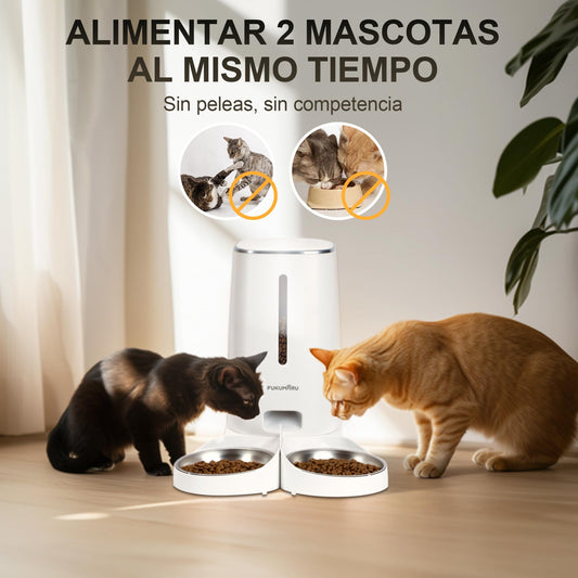 Comedero Gato Automatico WiFi, 4L Dispensador Comida para Perro/Gato con Dos Cuencos, Programa Personalizado de Alimentación Automática, Funcionamiento por Pilas y cableado eléctrico, Blanco - Creapet Studio