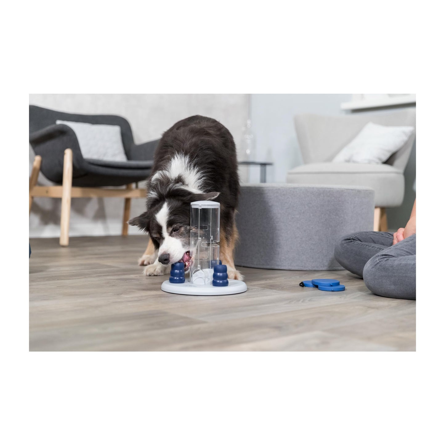 Juego Interactivo 2025 - Juguete Para Perros con accesorios ideal para Perros - Creapet Studio