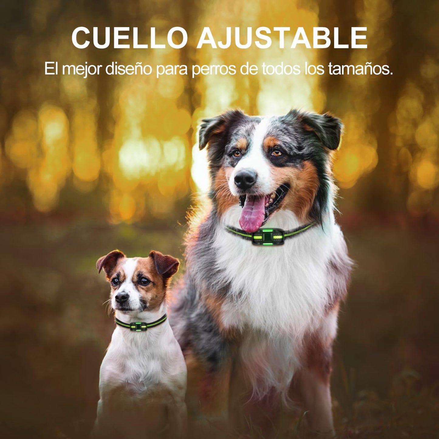 Collar de Adiestramiento para Perros con Control Remoto 1000 m – 3 Modos, Bloqueo de Seguridad, para Perros Pequeños, Medianos y Grandes - Creapet Studio