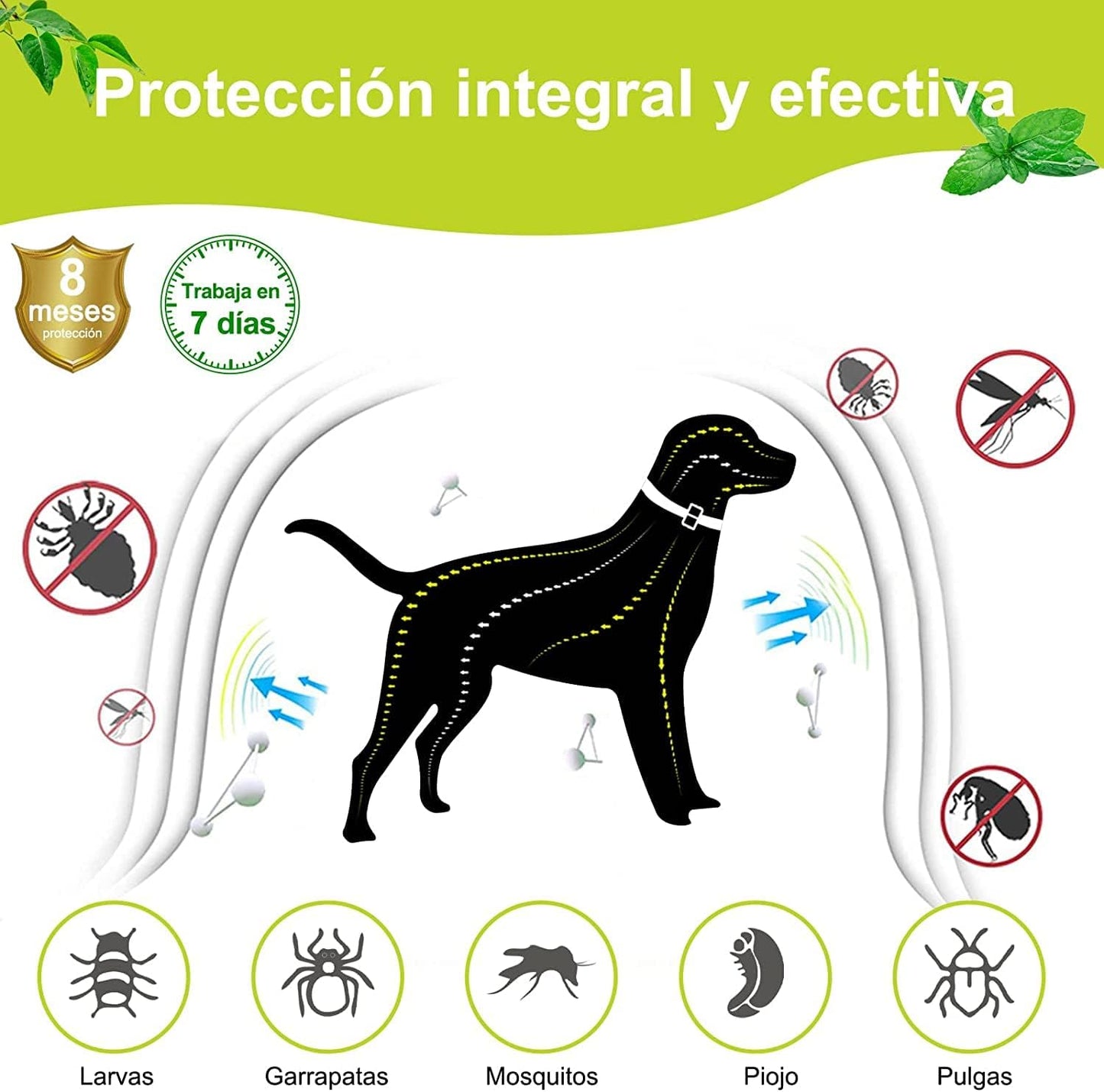 Collar contra Pulgas y Garrapatas para Perros y Gatos Control Antipulgas 8 Meses de Protección Collar Antipulgas para Perros de 63,5 cm - Creapet Studio