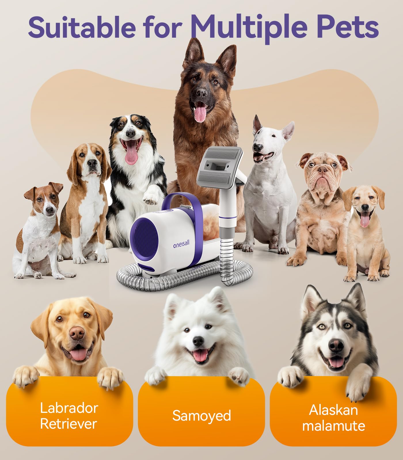 Aspirador pelos animal doméstico con cepillo para pelos de perro con un botón - Creapet Studio