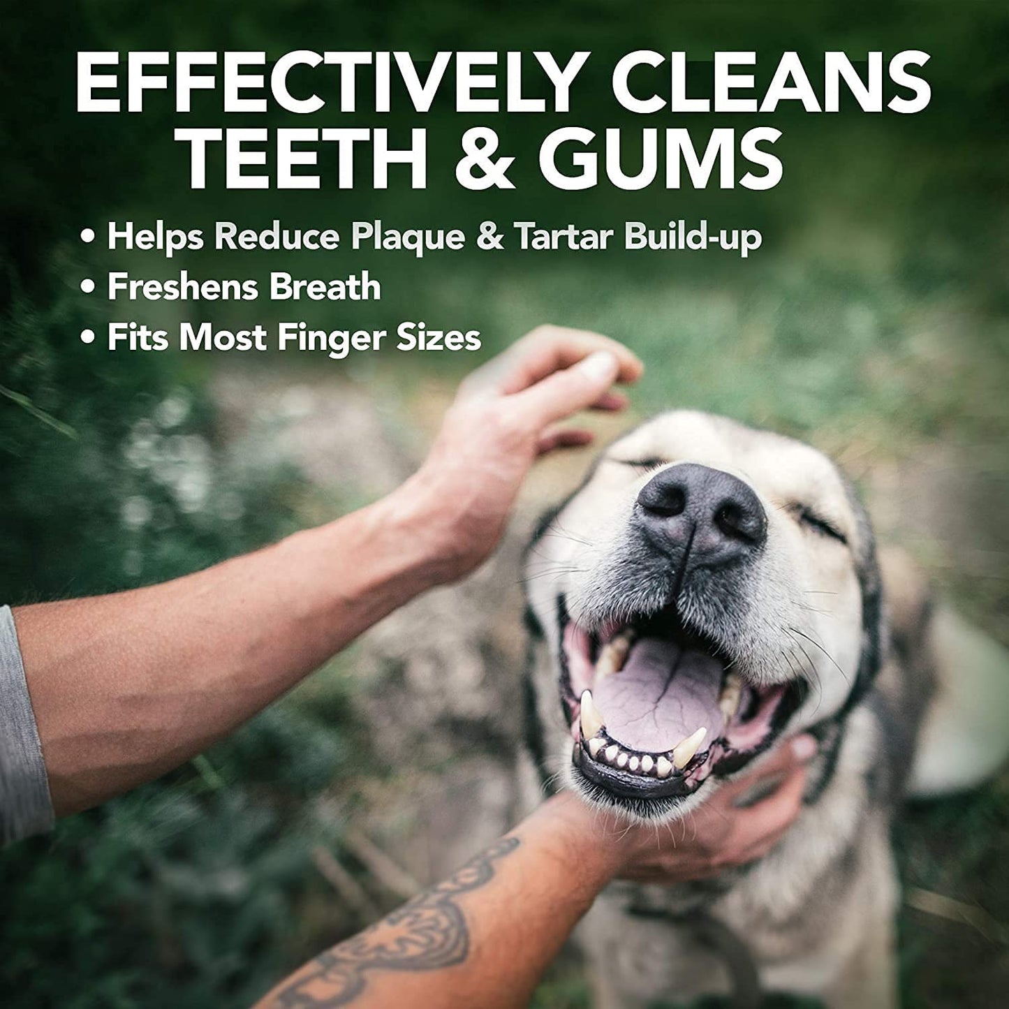 Toallitas de limpieza de Dientes Naturales para Perros 50 Unidades 160 g