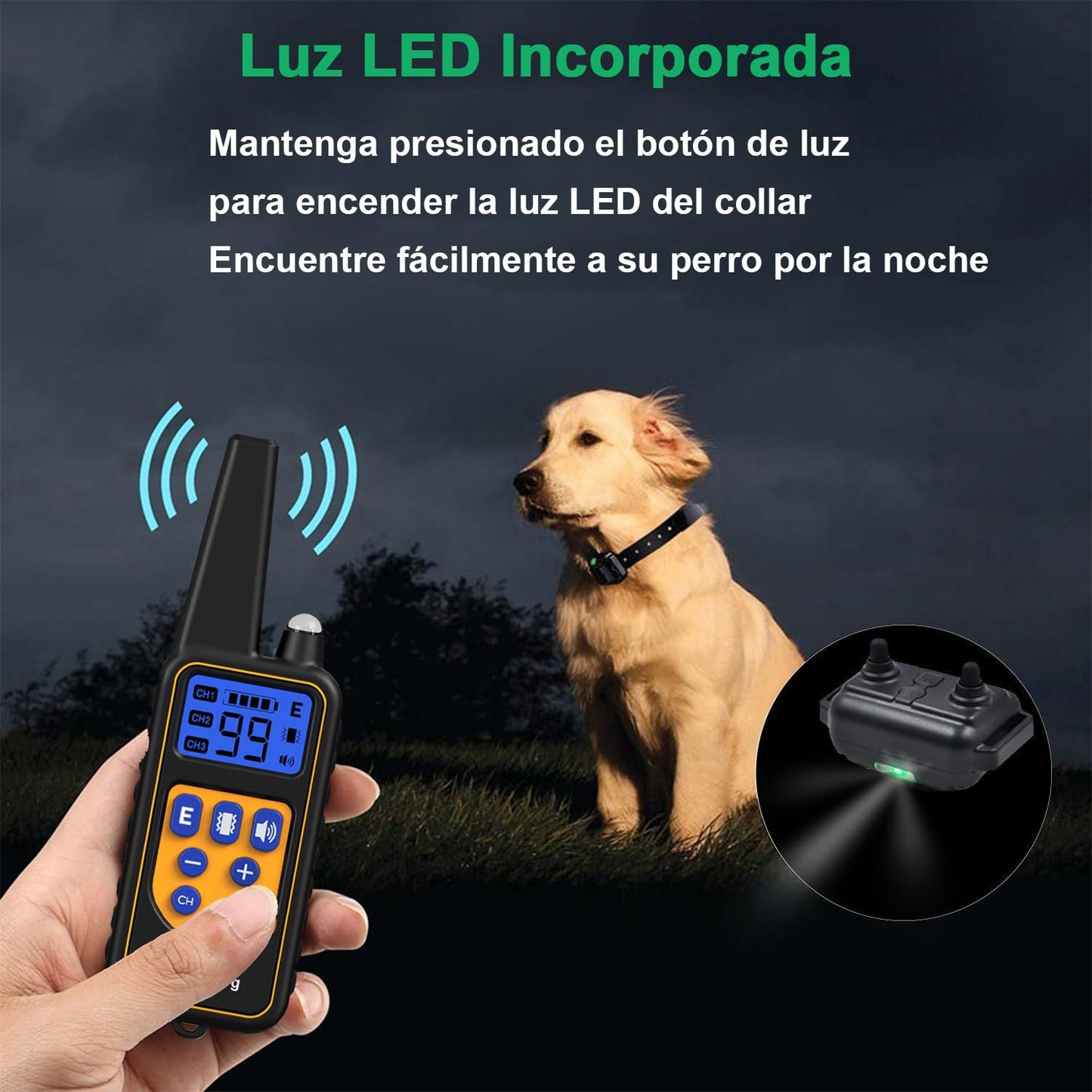 Collar de Adiestramiento para Perros, Collar Electrico Perro Recargable y Impermeable con un Alcance de 1000 Metros, para Perros Pequeños, Medianos y Grandes - Creapet Studio
