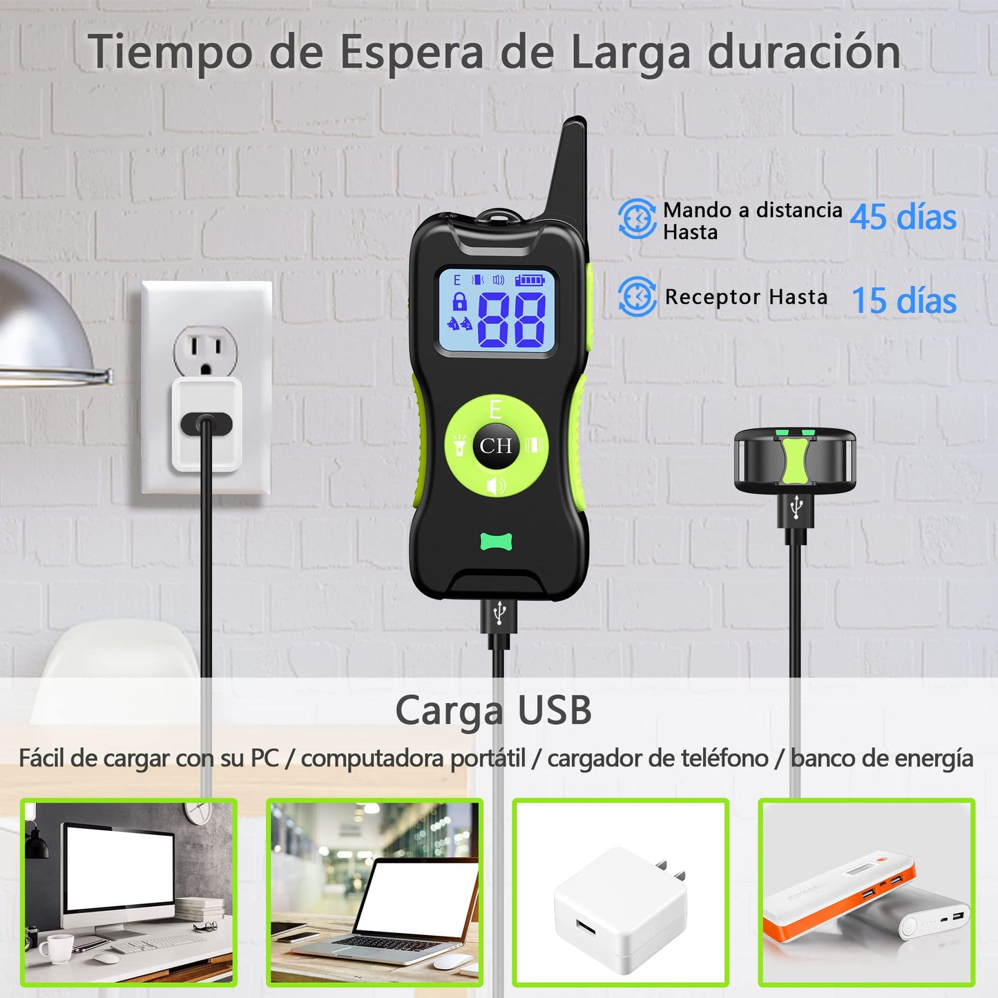 El mejor Collar de Adiestramiento para Perros - Creapet Studio