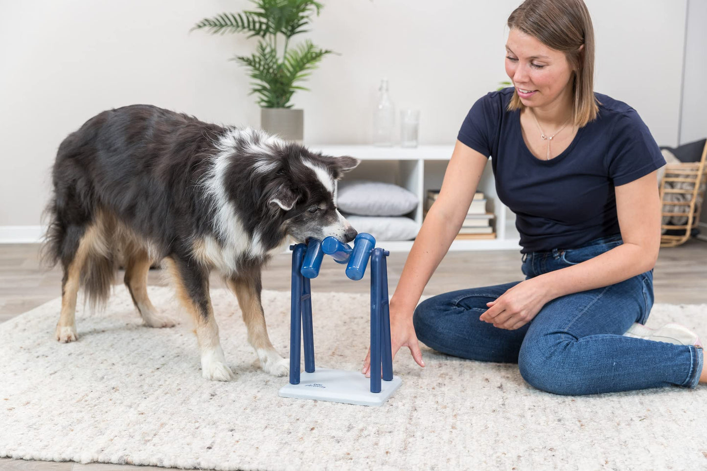 El mejor Juego Interactivo para perros 2025 - Creapet Studio