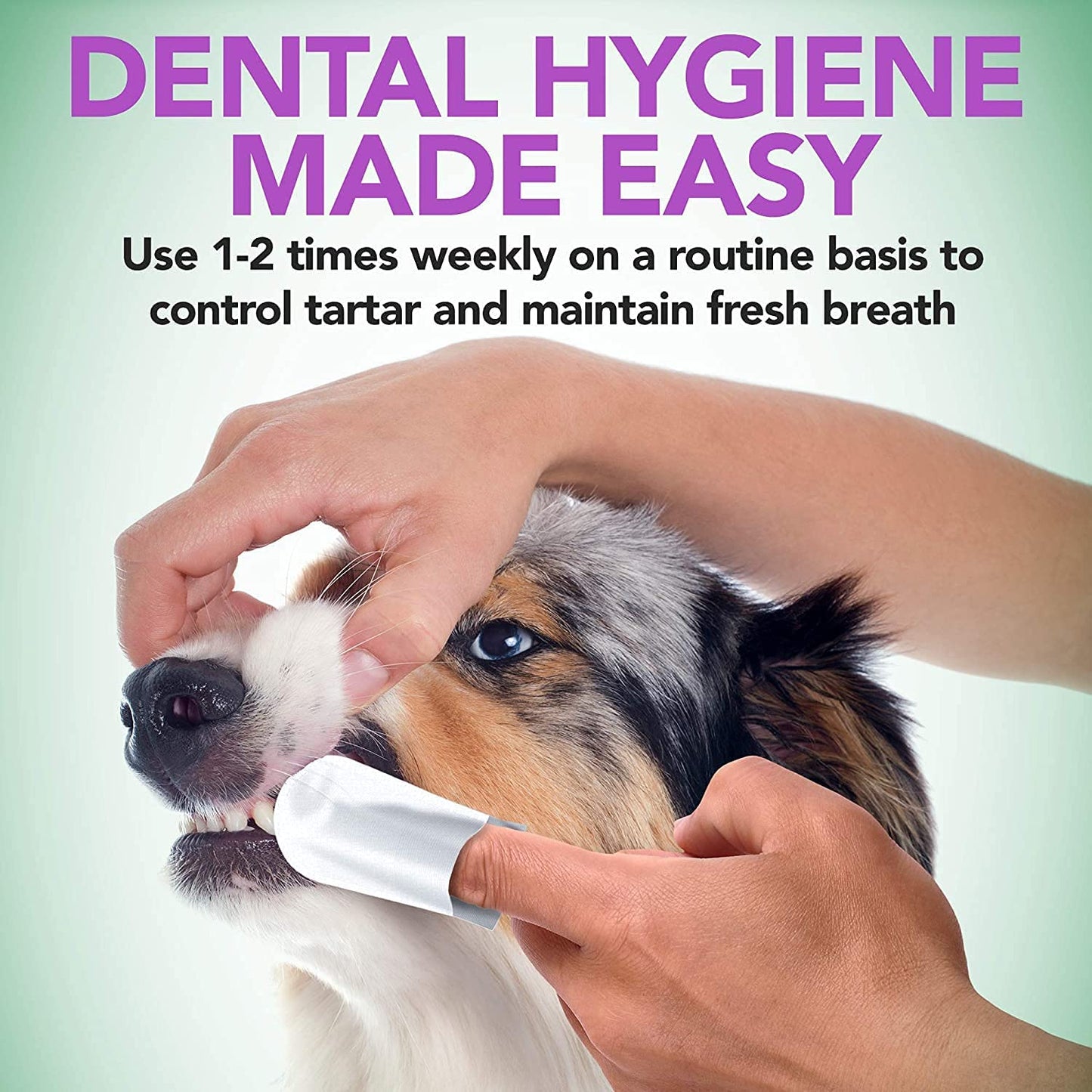 Toallitas de limpieza de Dientes Naturales para Perros 50 Unidades 160 g