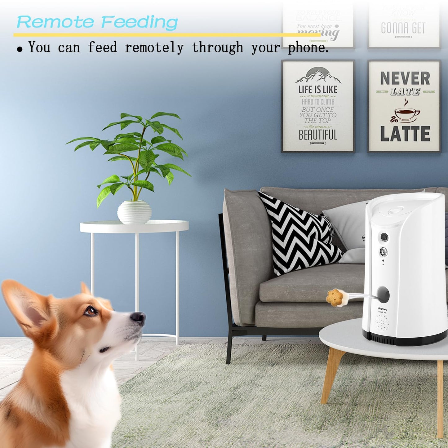 TOP cámara Dispensador de premios para Perros 2025, compatible con Alexa más vendido - Creapet Studio