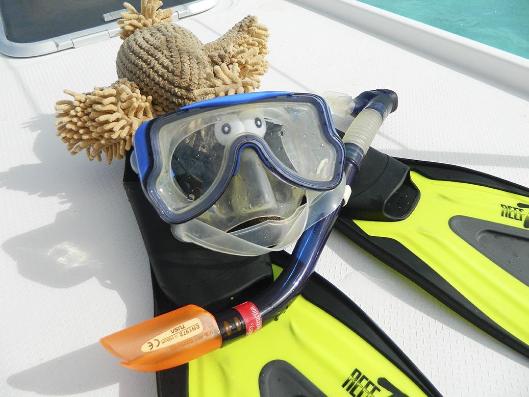 Hundespielzeug Geier