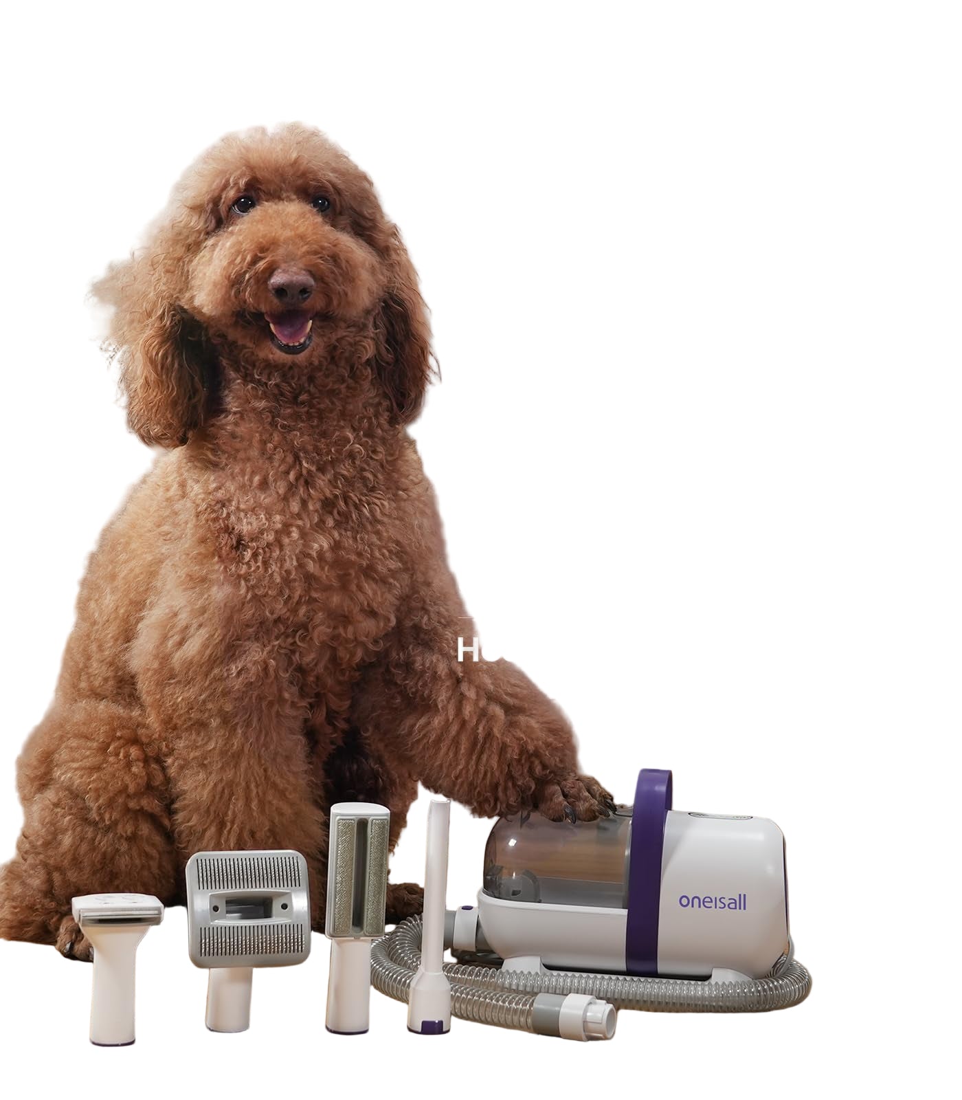 Aspirador pelos animal doméstico con cepillo para pelos de perro con un botón - Creapet Studio