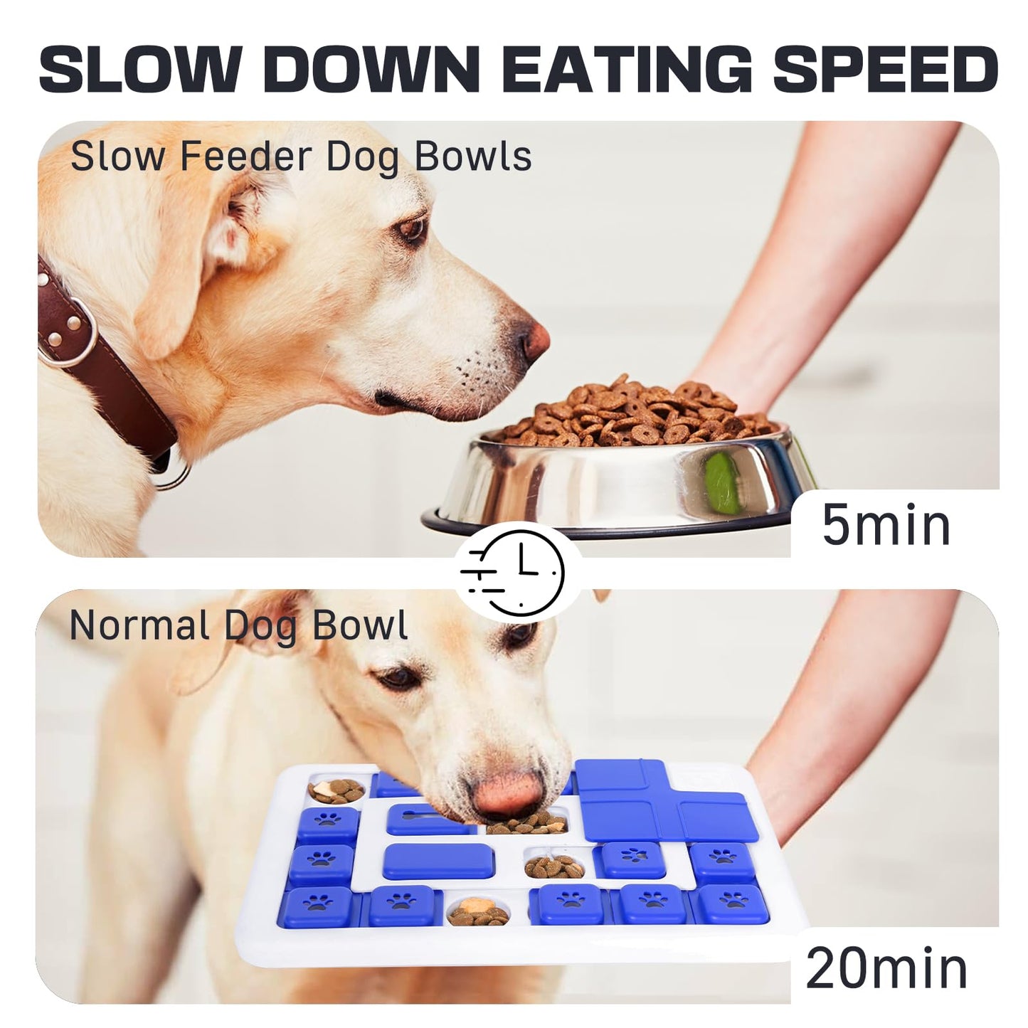 Juguete Interactivo para Perros: Desafíos que Estimulan la Mente Canina - Creapet Studio