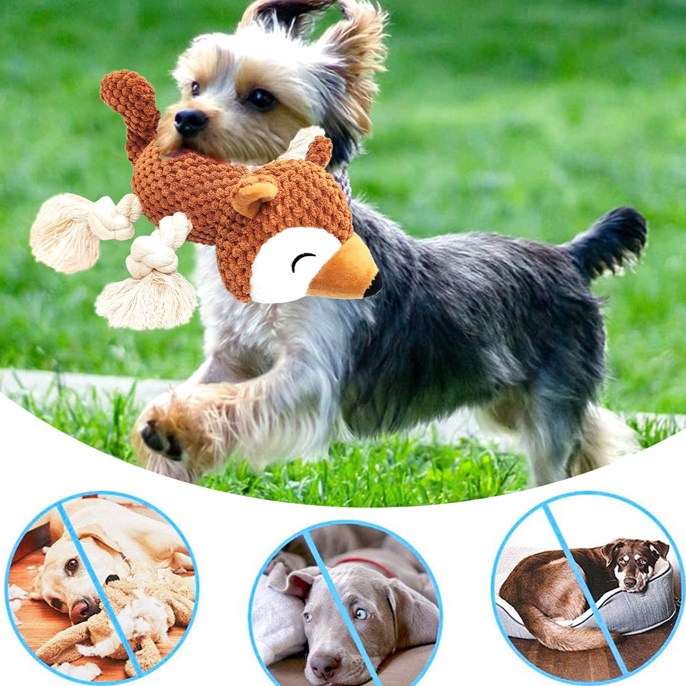 Juguetes para Perros Sonido Resistentes Interactivos