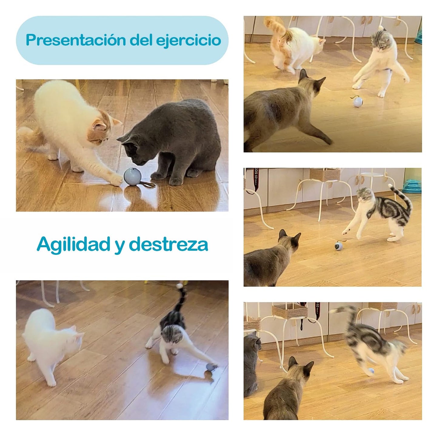 Migipaws Pack de Juguetes para Gatos