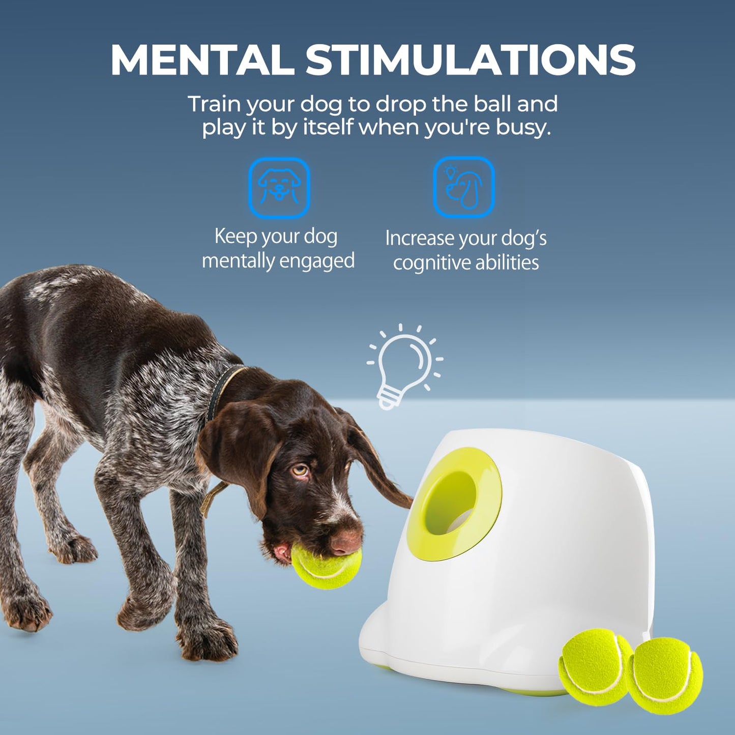 Lanzador Automático de Bolas Interactivo para Perros, máquina de Lanzamiento de Pelotas de Tenis para Perros Grandes, Incluye 3 Bolas (Hyper Fetch Maxi) - Creapet Studio