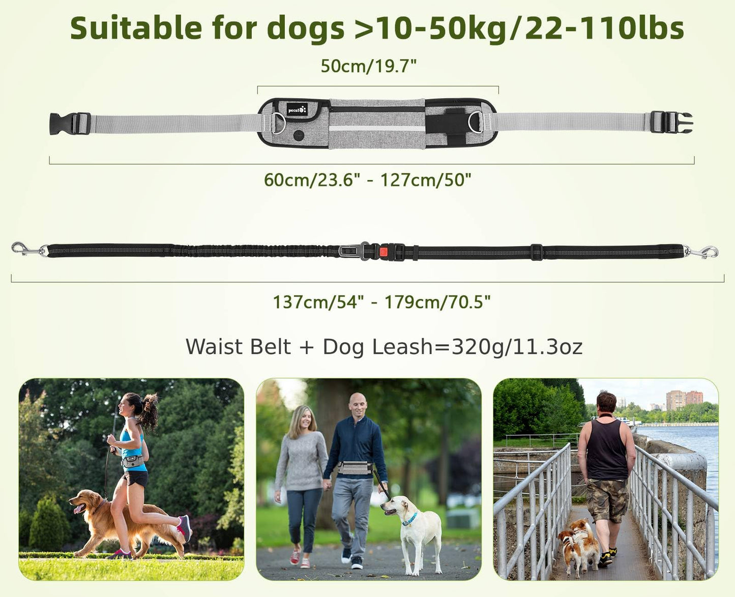 Correa para Perro pecute con Manos Libres para Perros hasta 110 kg de absorción de Choque, cómoda, Costura Reflectante, Ideal para Correr, Correr y Caminar - Creapet Studio