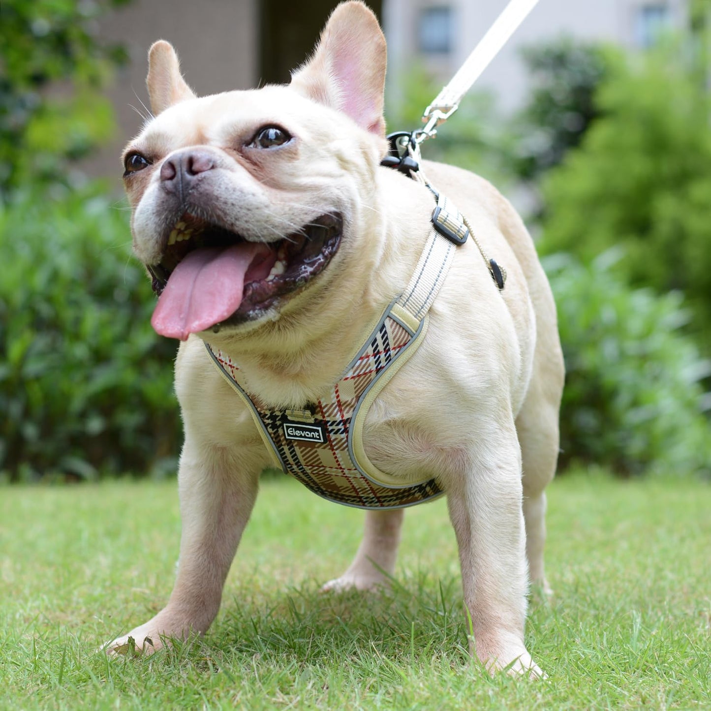 Arnés Perro Ajustable Reflectante, Arnés Antitirones Suave Acolchado Cómodo Transpirable Arnés Chaleco para Cachorros Perros Pequeños Mediano Grande - Creapet Studio