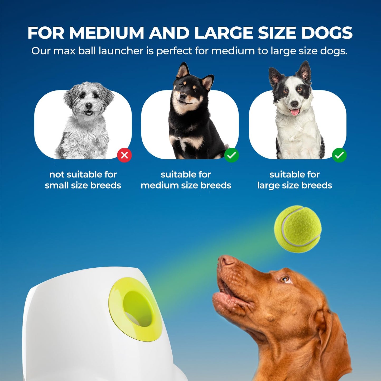 Lanzador Automático de Bolas Interactivo para Perros, máquina de Lanzamiento de Pelotas de Tenis para Perros Grandes, Incluye 3 Bolas (Hyper Fetch Maxi) - Creapet Studio