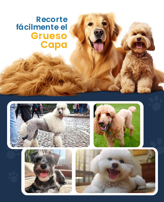 Maquina cortar pelo grueso inalámbrico Perros lavable