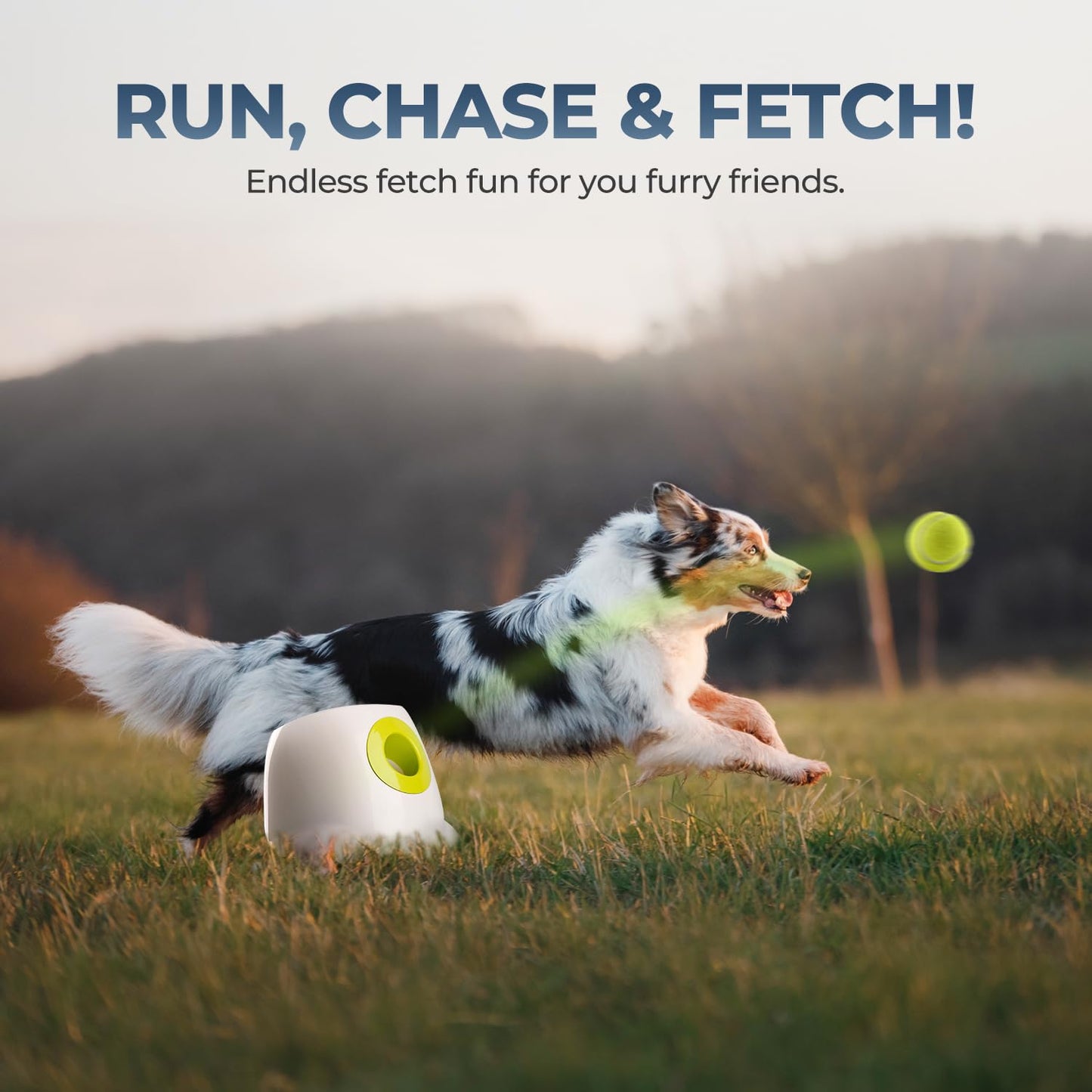 Lanzador Automático de Bolas Interactivo para Perros, máquina de Lanzamiento de Pelotas de Tenis para Perros Grandes, Incluye 3 Bolas (Hyper Fetch Maxi) - Creapet Studio