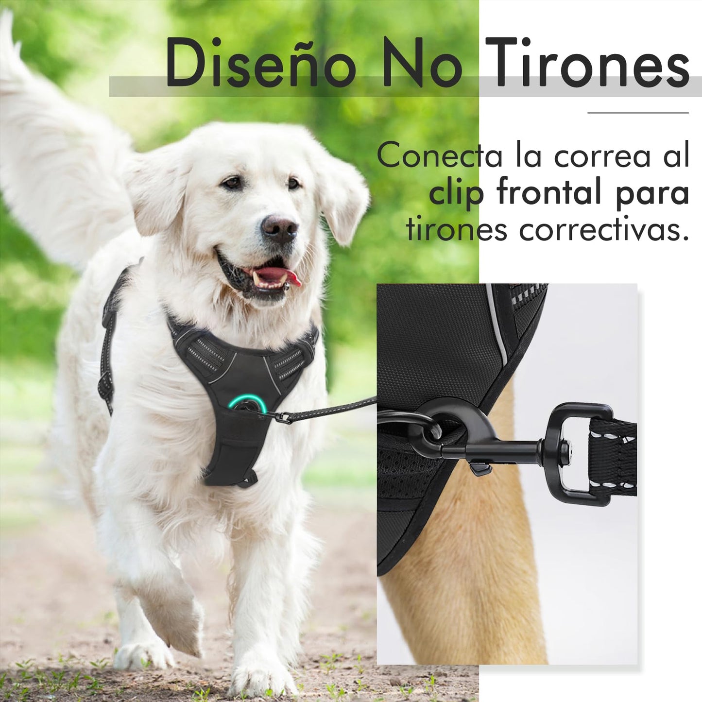 Arnés Antitirones para Perro Grande – Ajustable, Reflectante y Transpirable, Ideal para Coche y Paseo – rabbitgoo Negro - Creapet Studio