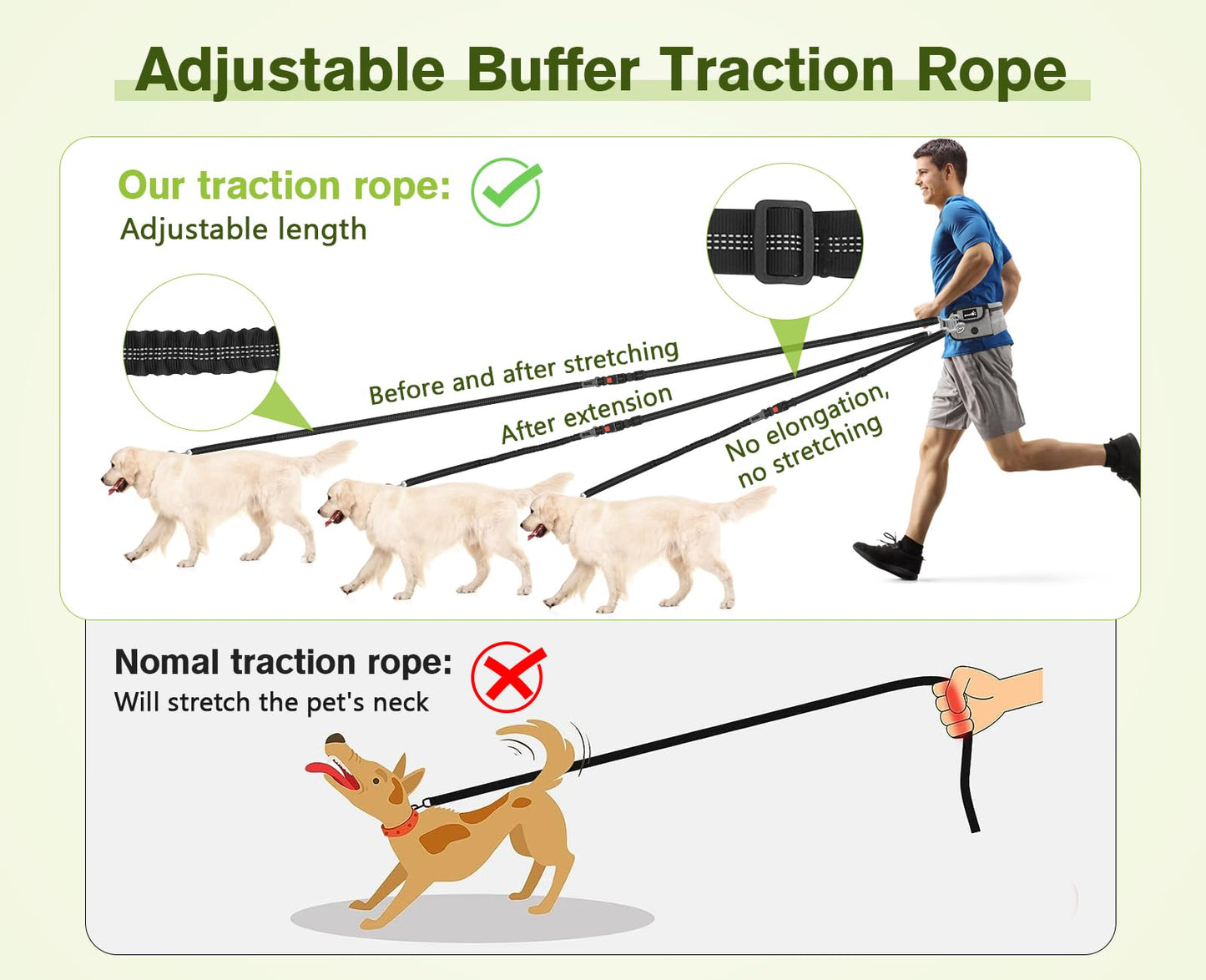 Correa para Perro pecute con Manos Libres para Perros hasta 110 kg de absorción de Choque, cómoda, Costura Reflectante, Ideal para Correr, Correr y Caminar - Creapet Studio