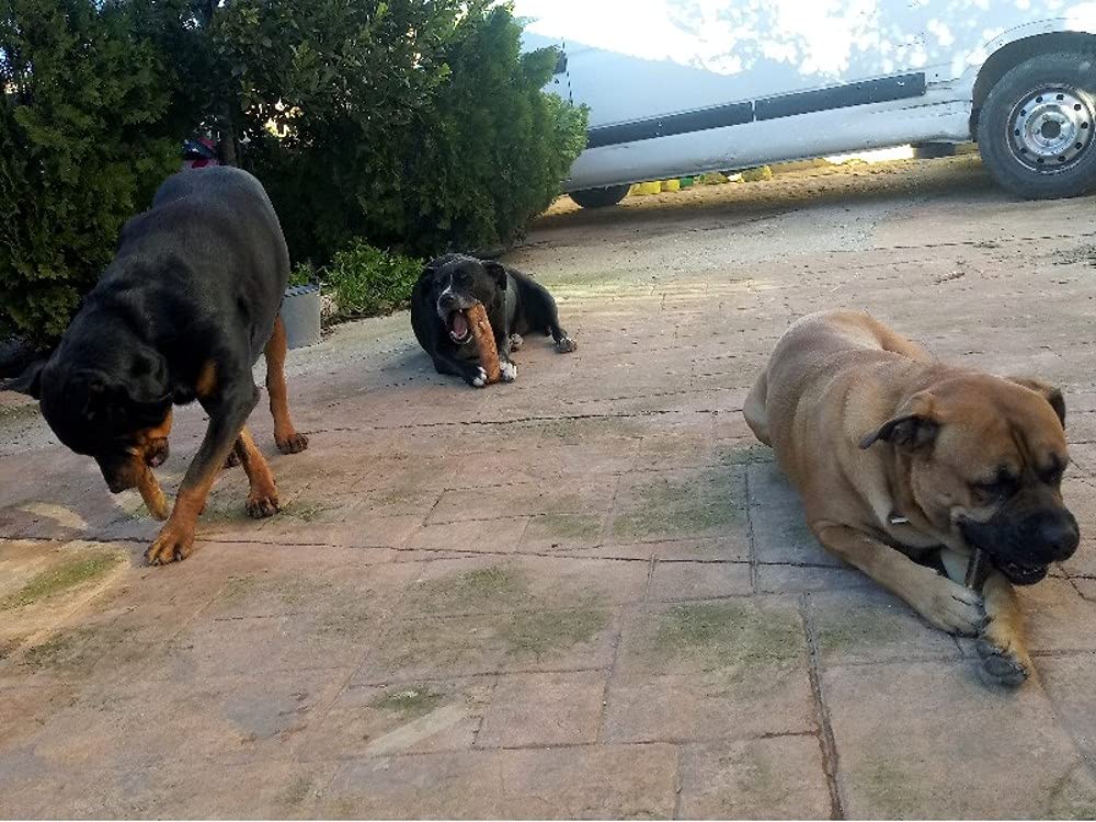 Mordedor natural de madera de olivo para perros grandes – Pack de 2