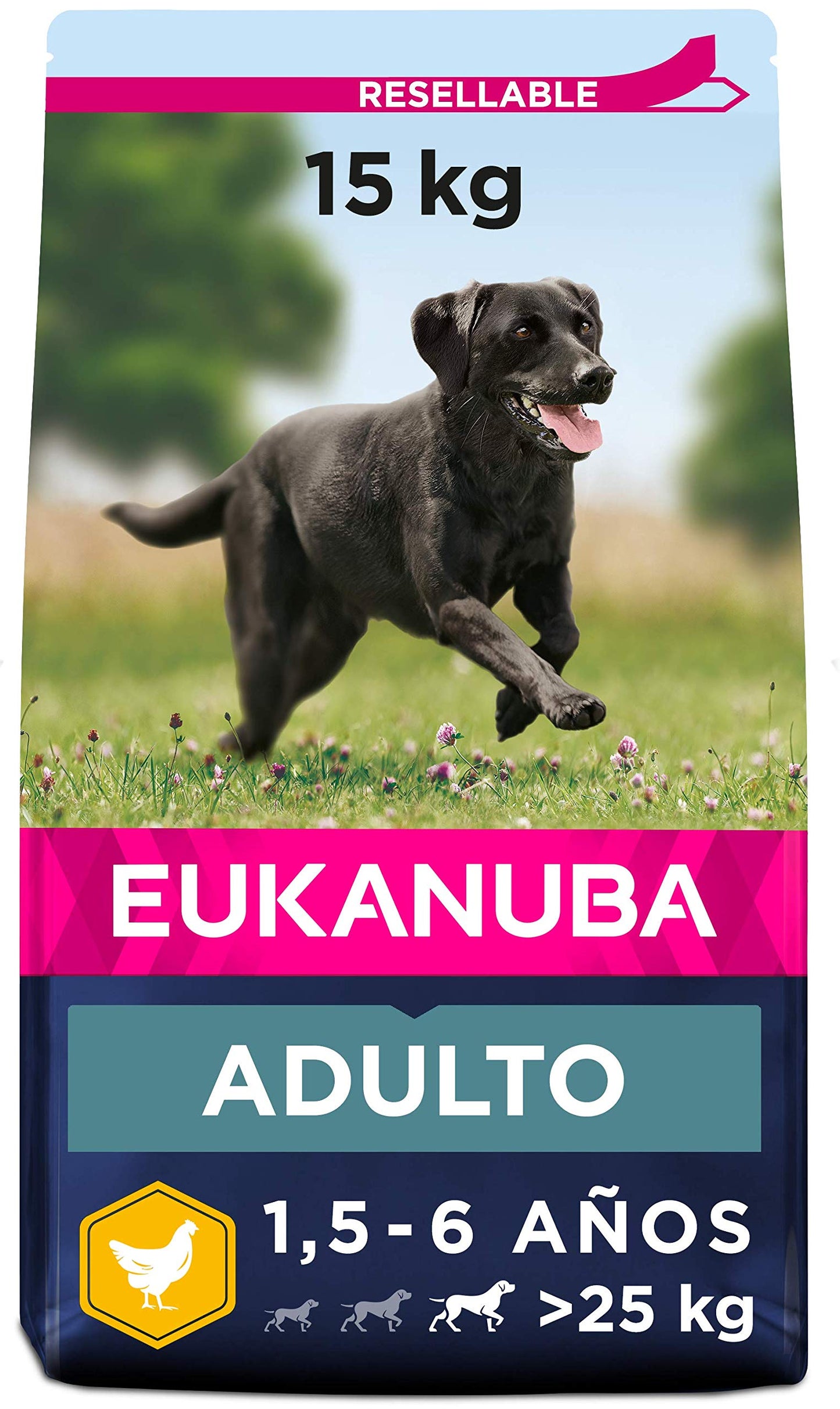Pienso Eukanuba Alimento seco para perros adultos de razas grandes con pollo 15 kg - Creapet Studio